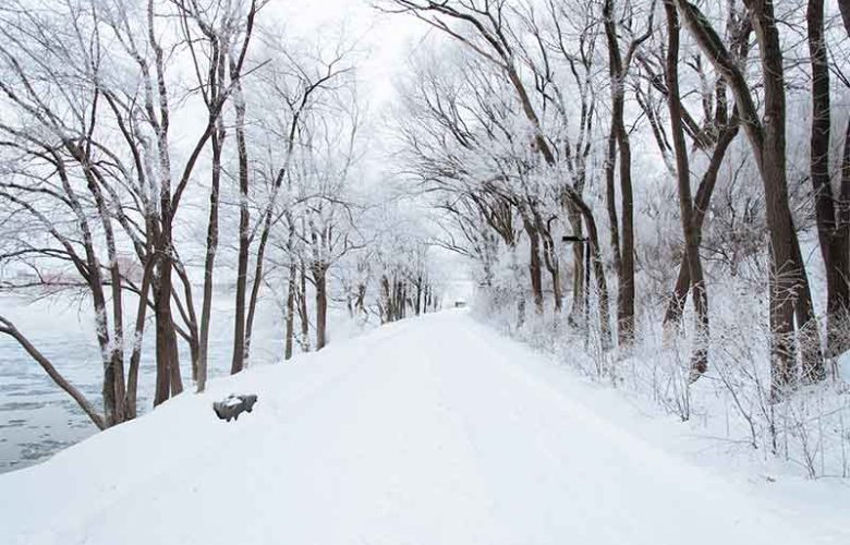 Top driving in snow tips