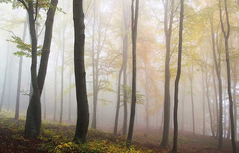Autumn basic car maintenance tips
